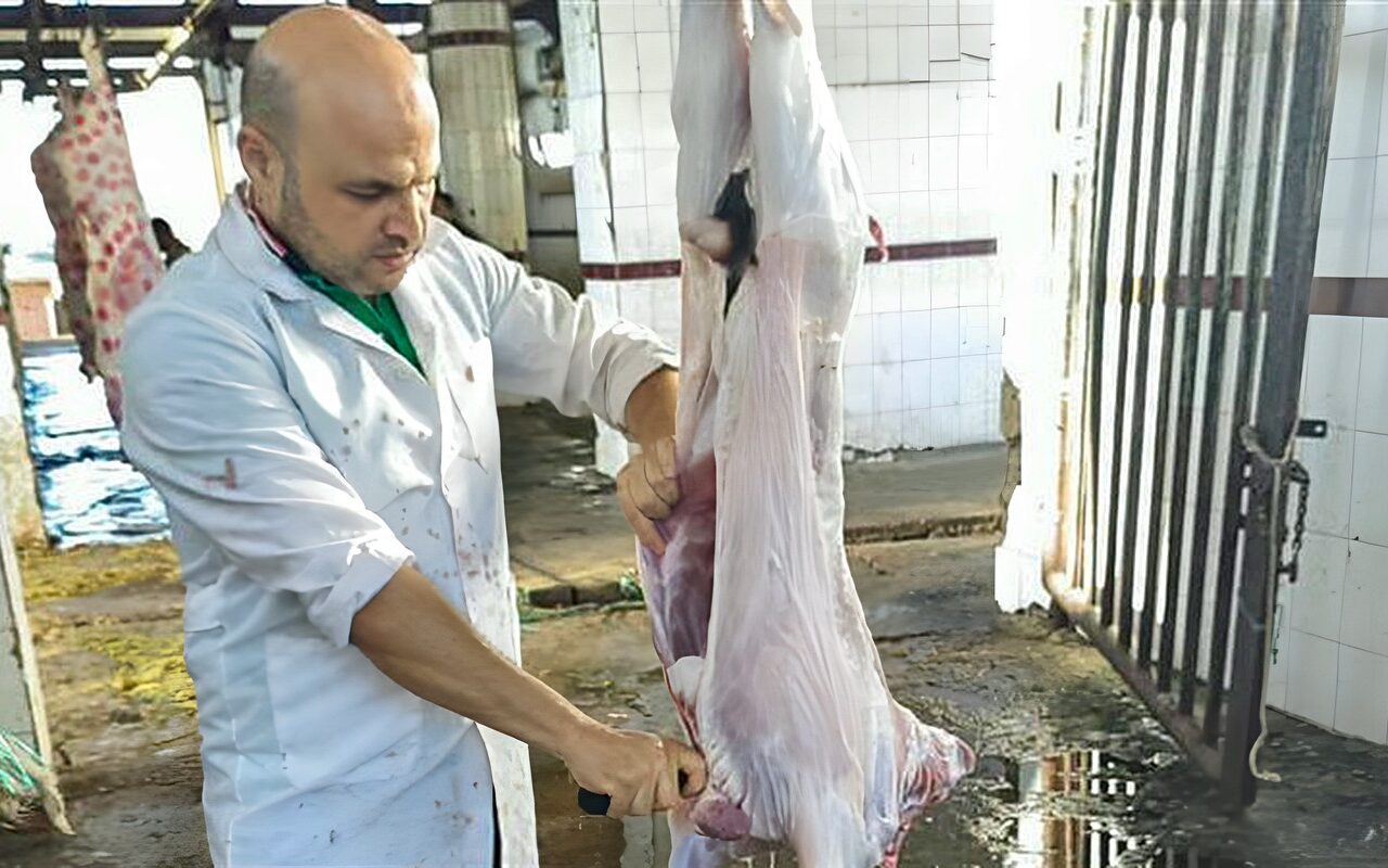 إعدام رأسين من الماشية المصابة بالسل بمجزر شطا في دمياط