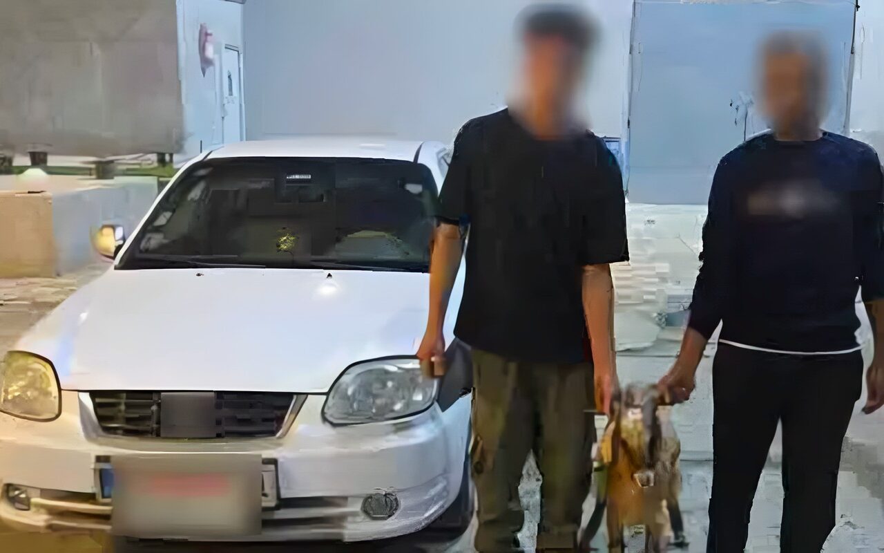 ضبط شخصين سرقا رأس غنم من راعية أغنام بشمال سيناء.. وإعادة المسروقات
