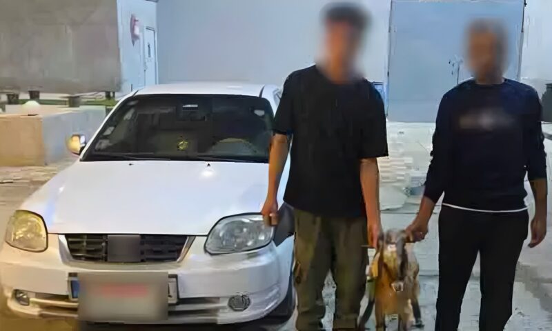 ضبط شخصين سرقا رأس غنم من راعية أغنام بشمال سيناء.. وإعادة المسروقات