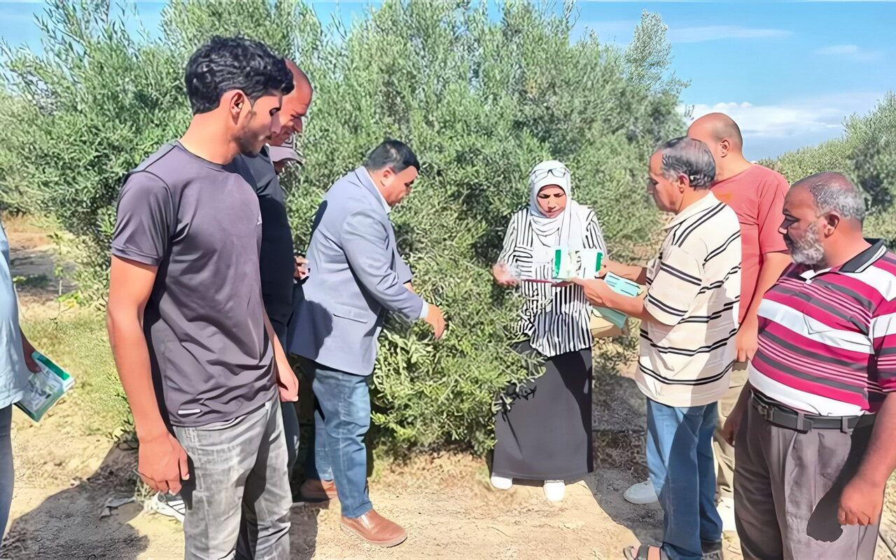 بعد حصاد المحاصيل الصيفية، الزراعة تطلق حملة قومية لمكافحة القوارض