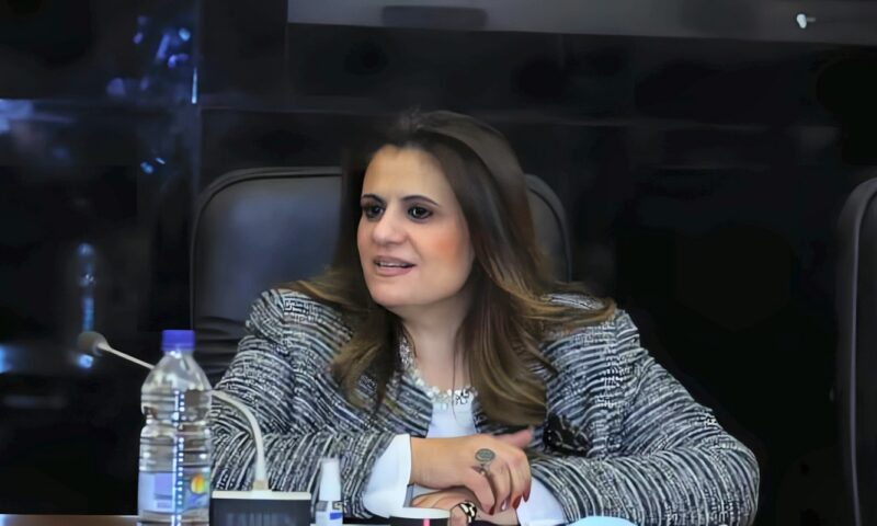 السفيرة سها جندي: نجاح الأطباء والمهندسين المصريين بالخارج يعود بالنفع على الوطن