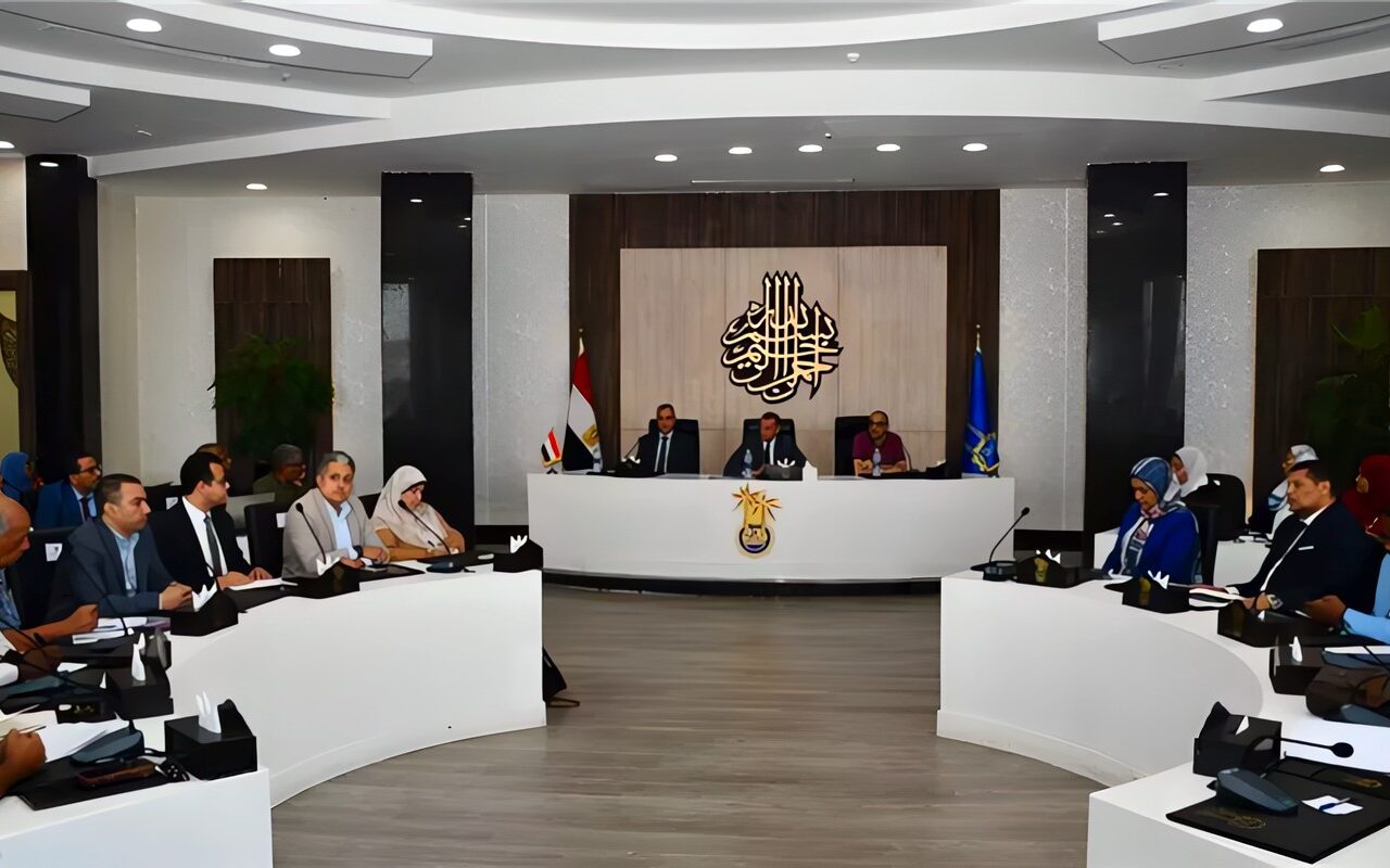 عمرو لاشين يترأس اجتماع المجلس الاقتصادي الاجتماعي.. شراكة بين الحكومة والبنوك والمجتمع المدني