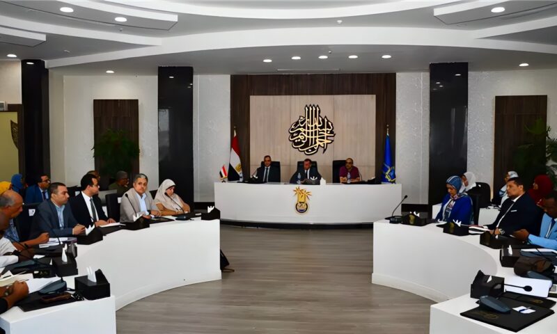 عمرو لاشين يترأس اجتماع المجلس الاقتصادي الاجتماعي.. شراكة بين الحكومة والبنوك والمجتمع المدني