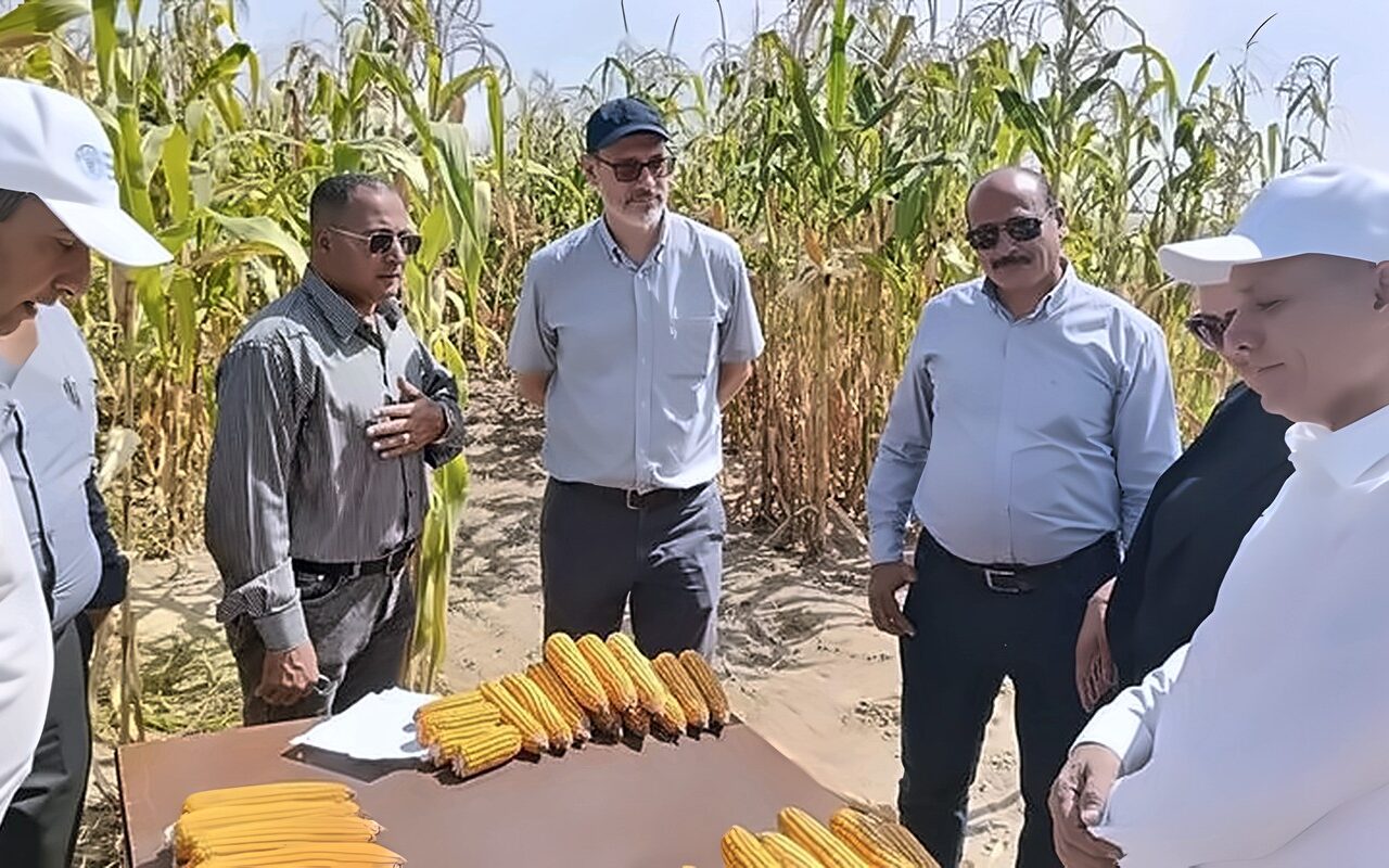 الذكاء الاصطناعي يدخل حقول الإسماعيلية، الزراعة تختبر روشتة جديدة لتوفير مياه الري