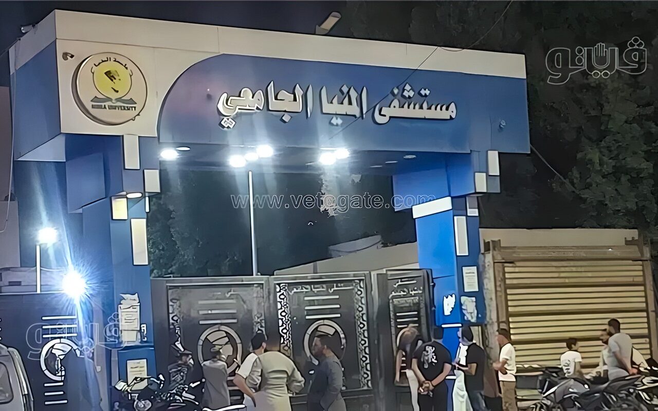 من أسيوط وقنا، المنيا الجامعي يستقبل 7 مصابين بحادث الشيخ فضل (أسماء)