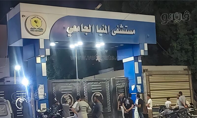 من أسيوط وقنا، المنيا الجامعي يستقبل 7 مصابين بحادث الشيخ فضل (أسماء)