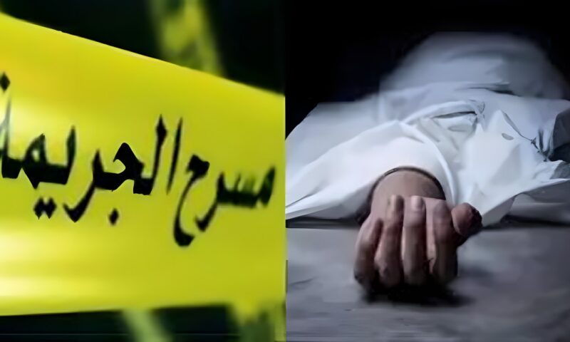 من البحث الجنائي إلى الطب الشرعي.. كيف تتكامل الأدلة لكشف ملابسات الجرائم؟.. تحليل البصمة الوراثية والكلاب البوليسية “أبرز الأدوات”