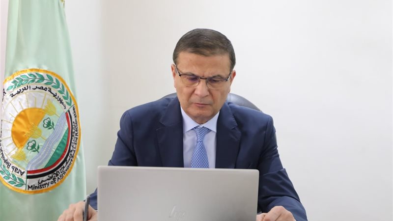 مصر الأولى عالميا في إنتاج التمور بـ 2.2 مليون طن سنويا و161 مليون دولار صادرات