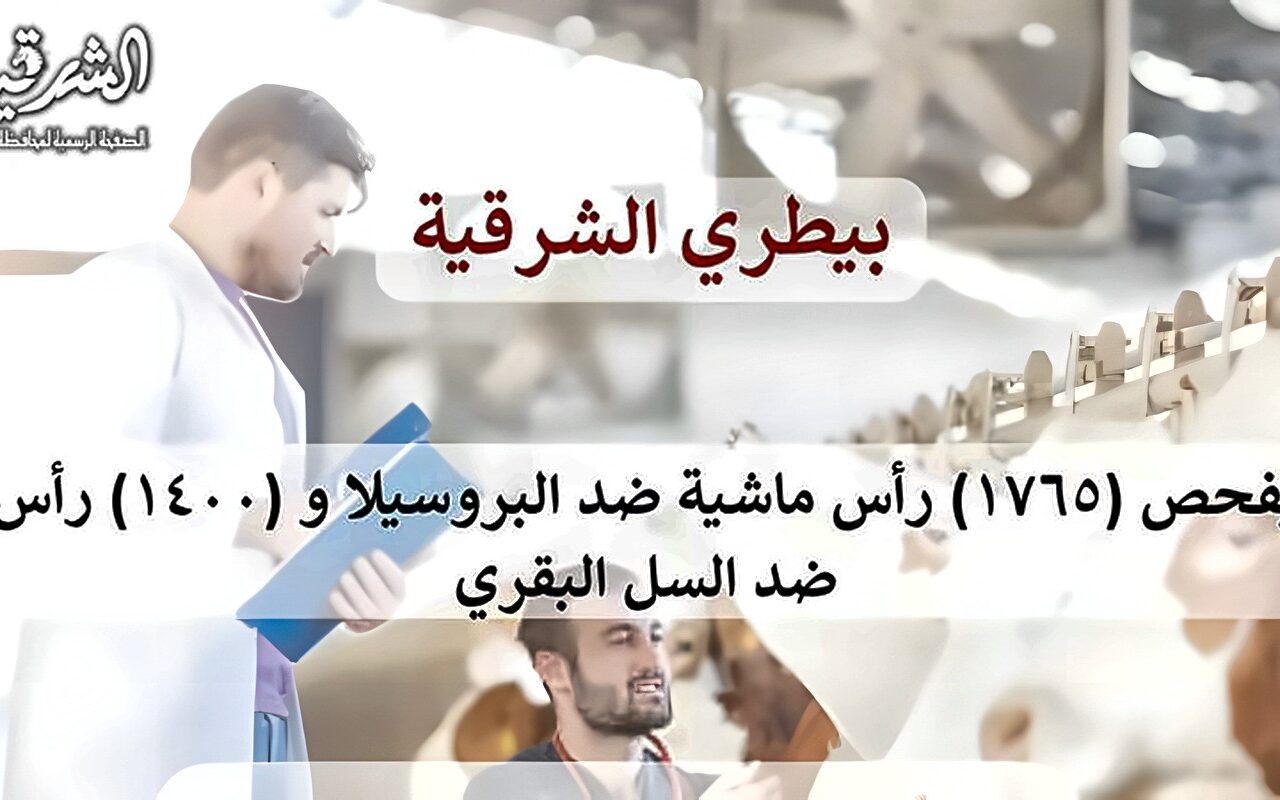 بيطري الشرقية: فحص 3165 رأس ماشية ضد البروسيلا والسل البقرى خلال سبتمبر الماضي