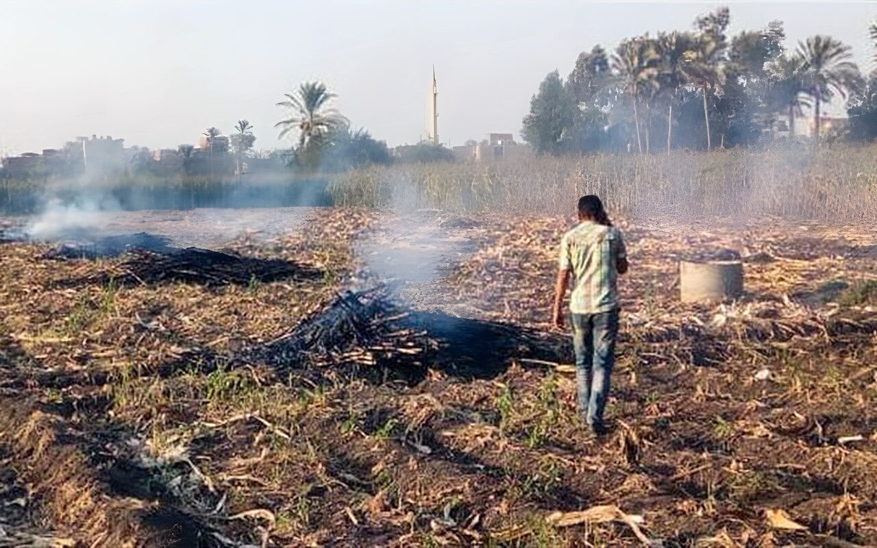 محافظ سوهاج يشكل لجانا لمواجهة حرق المخلفات الزراعية
