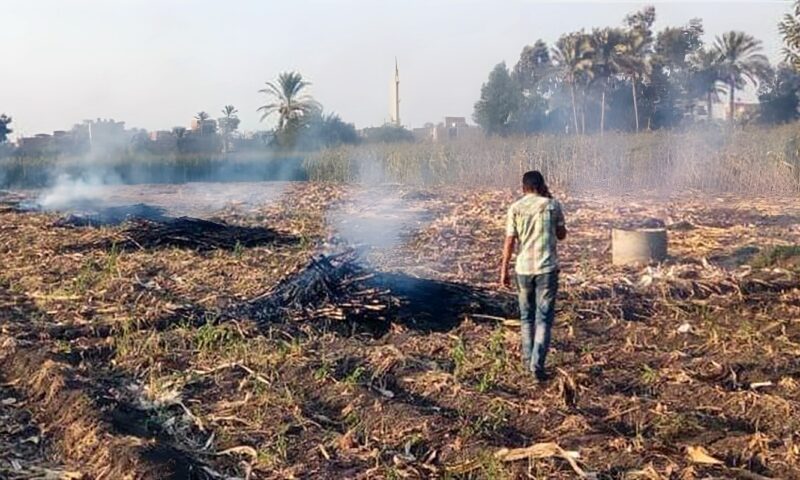 محافظ سوهاج يشكل لجانا لمواجهة حرق المخلفات الزراعية