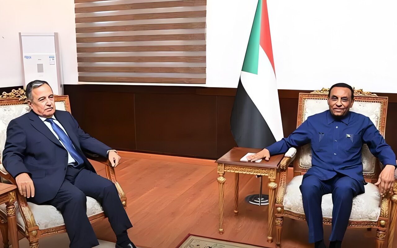 نبيل فهمي يلتقي رئيس الوزراء السوداني في الخرطوم