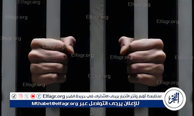 حبس المتهم بسرقة هاتف محمول بـ«التوك توك» في شبرا الخيمة بعد مطاردة أمنية