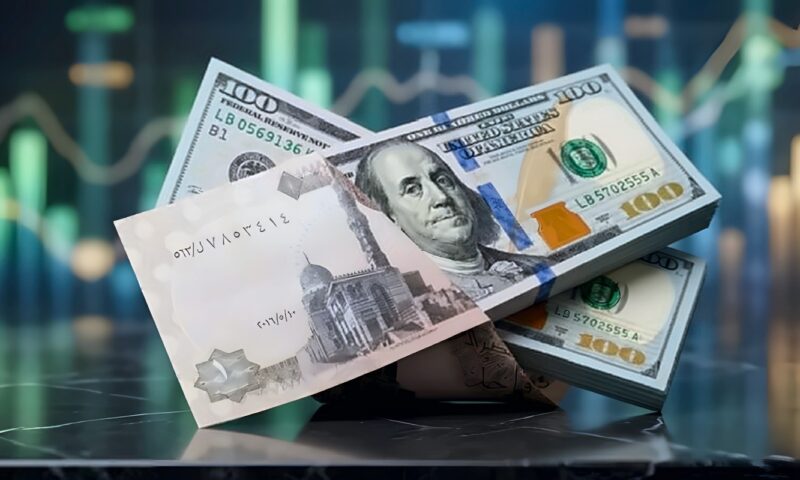 سعر صرف الدولار مقابل الجنيه في المركزي والبنوك المصرية اليوم الخميس (آخر تحديث)