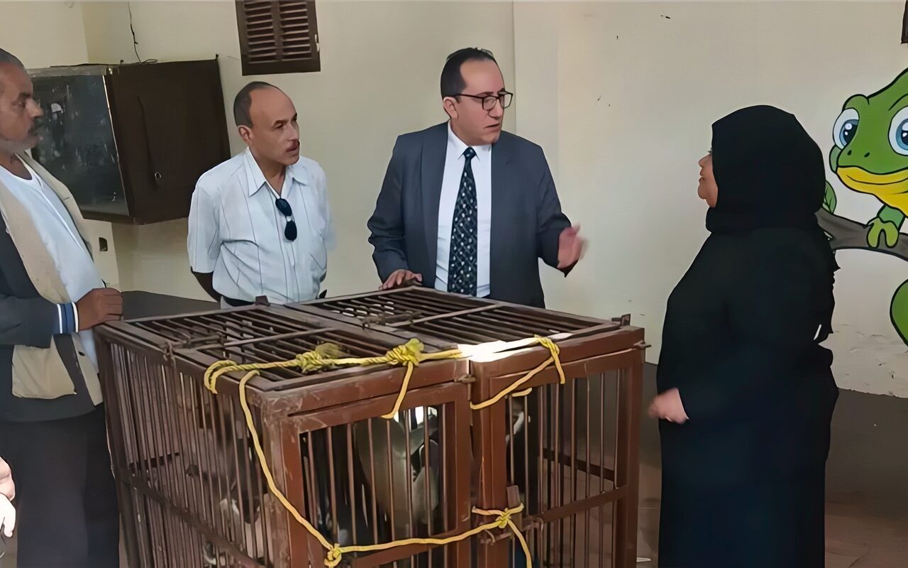 ضبط 8 حيوانات من فصيلة النسناس لدى مواطن بالشرقية وإيداعها بحديقة الحيوان بالزقازيق