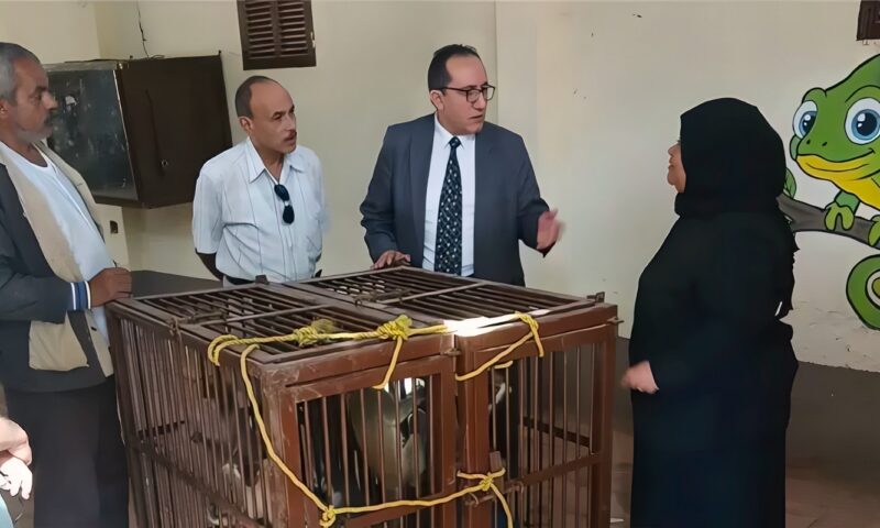 ضبط 8 حيوانات من فصيلة النسناس لدى مواطن بالشرقية وإيداعها بحديقة الحيوان بالزقازيق