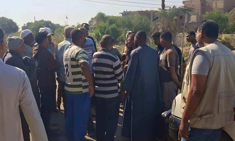 بعد فيديو عبور التلاميذ فوق جذع نخلة، تحرك عاجل لإنشاء مشاية آمنة بقرية في قنا