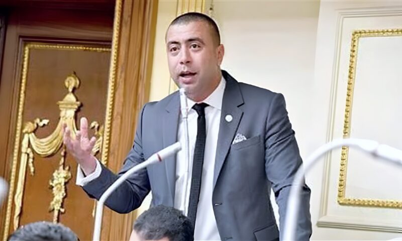 أحمد بهاء شلبي رئيسا للجنة الصناعة بمجلس النواب