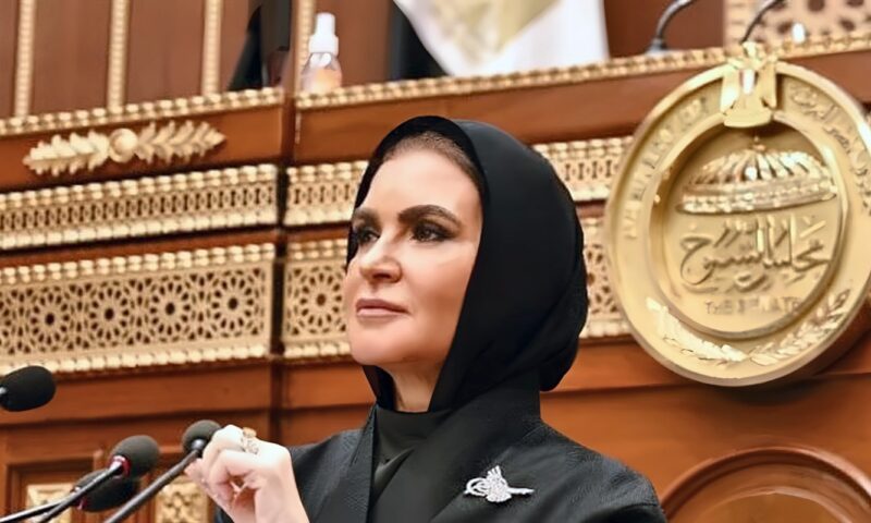 بعد انتخابها وكيلا لـ”مالية الشيوخ”، سحر نصر تكشف أولويات اللجنة بدور الانعقاد الثاني
