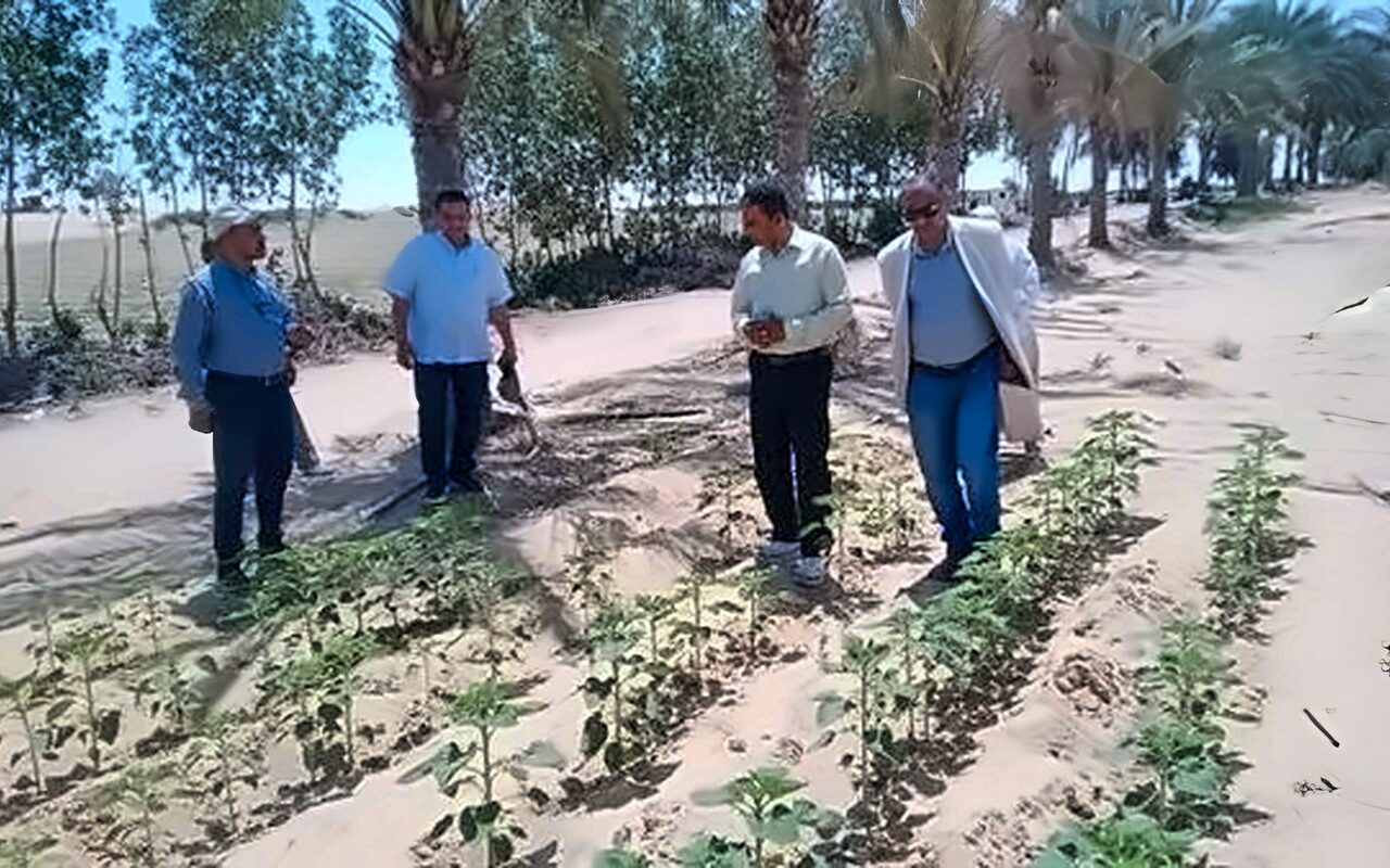 “الزراعة” تستعرض جهود “بحوث الصحراء” لتحقيق التنمية الزراعية في سيناء خلال عام