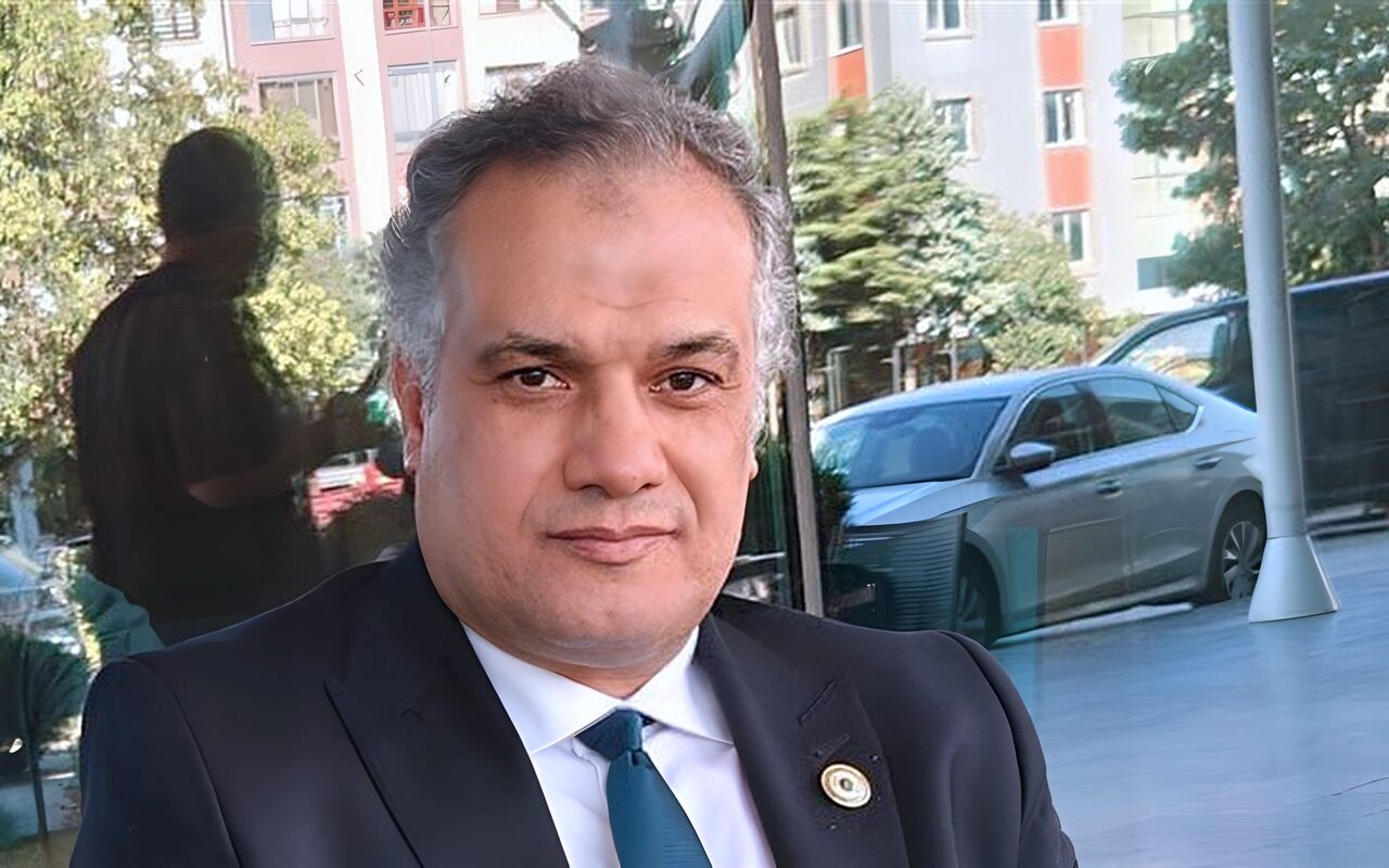 هشام النجار: الإخوان اعتمدوا على الشائعات والأكاذيب لتشويه الدولة ومؤسساتها
