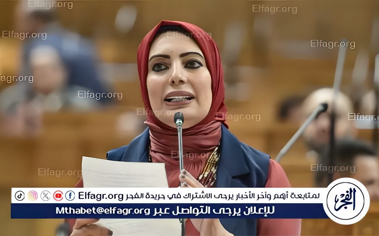 بسمة هنداوي تستعرض رؤيتها لتعزيز الاقتصاد الوطني وتطوير منظومة الاستثمار خلال جلسة مجلس الشيوخ