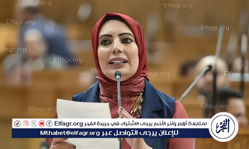 بسمة هنداوي تستعرض رؤيتها لتعزيز الاقتصاد الوطني وتطوير منظومة الاستثمار خلال جلسة مجلس الشيوخ