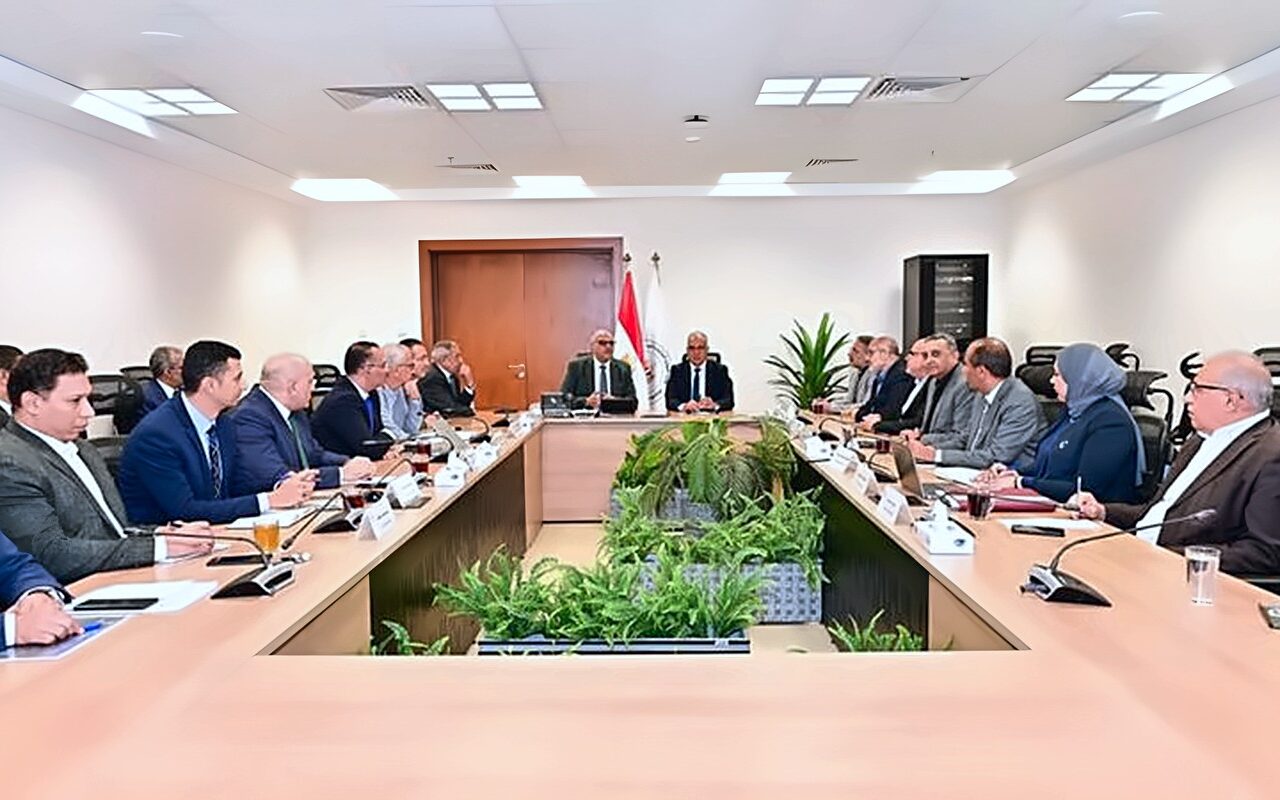 تنفيذا لتكليفات السيسي، وزير الري يبحث مع أيمن عطية مشروعات حماية واستعادة شواطئ الإسكندرية
