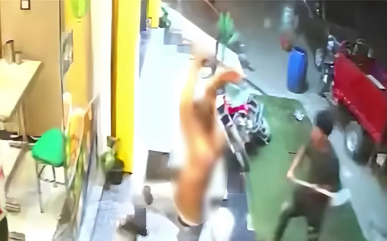 محاولة اقتحام محل كشري شهير بطلخا وتحطيم الواجهة، فيديو يكشف تفاصيل المشاجرة (صور)
