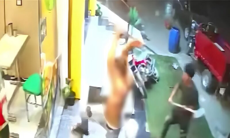 محاولة اقتحام محل كشري شهير بطلخا وتحطيم الواجهة، فيديو يكشف تفاصيل المشاجرة (صور)
