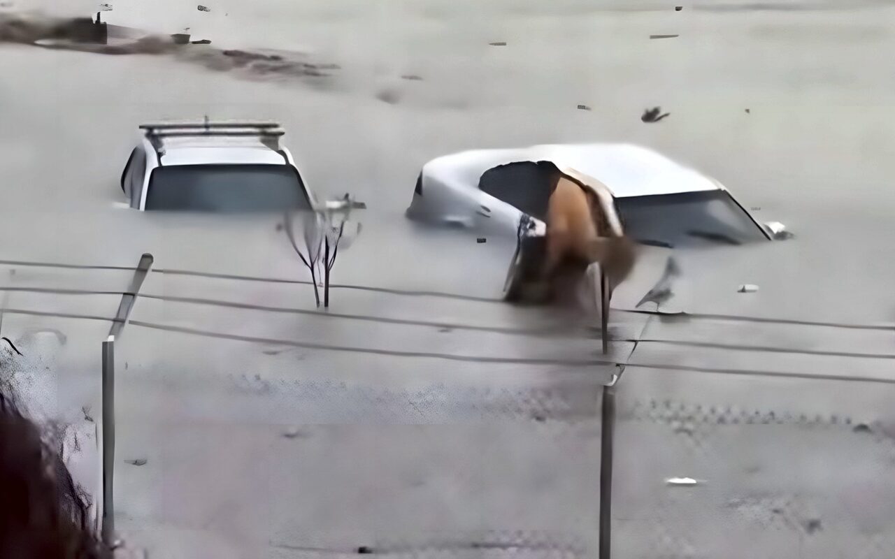 فيديو شغل الليبيين.. شرطي ينقذ رجلاً من ذوي الهمم وسط السيول