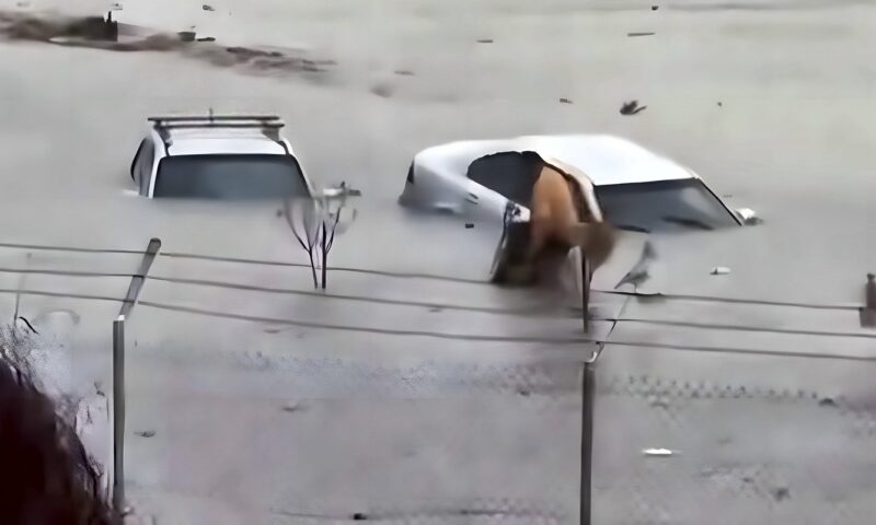 فيديو شغل الليبيين.. شرطي ينقذ رجلاً من ذوي الهمم وسط السيول