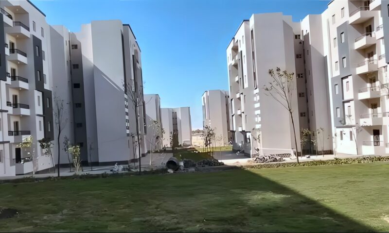 وزيرة الإسكان تتابع موقف تنفيذ مشروعات المرافق والإسكان والتنمية بالمدن الجديدة في صعيد مصر