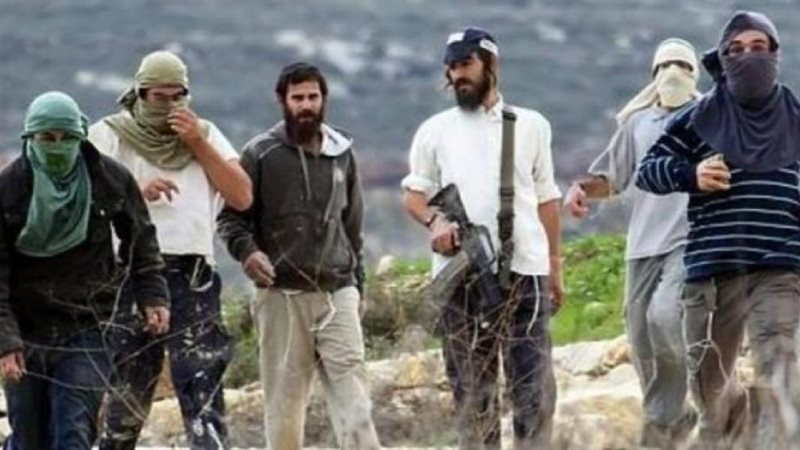 إصابة 5 فلسطينيين إثر اعتداء مستوطنين عليهم بالضفة الغربية