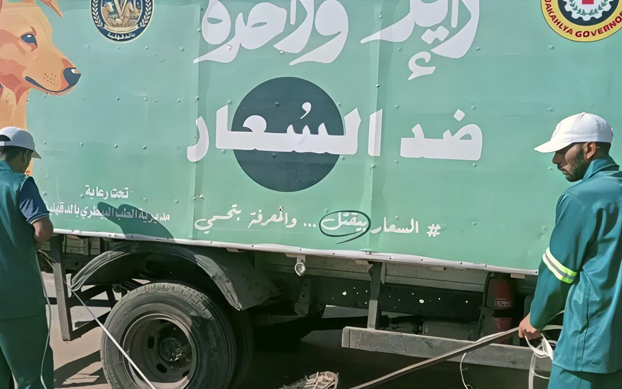 محافظ الدقهلية يتابع حملة لمواجهة الكلاب الضالة بقرية أخطاب بمركز أجا