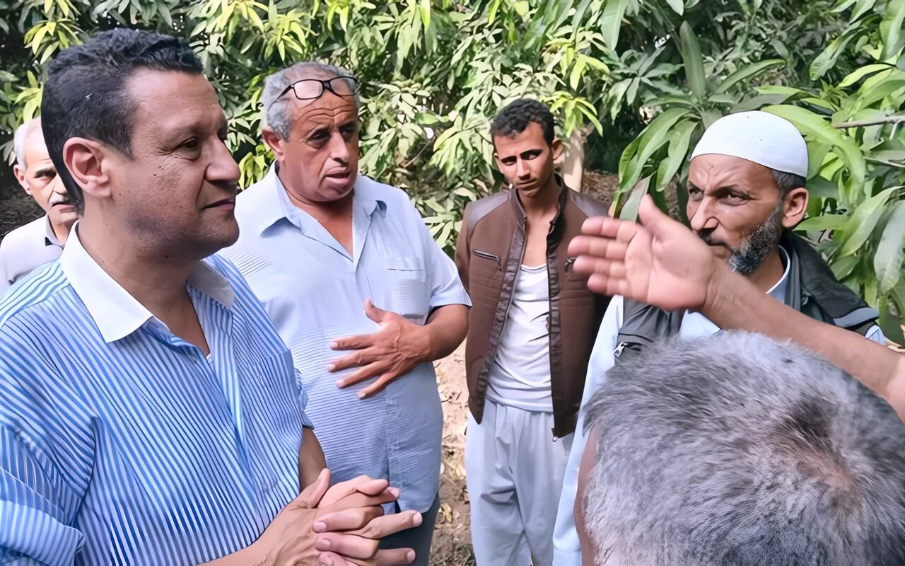 “الزراعة” تتحرك لدعم مزارعي شمال سيناء، متابعة المحاصيل وتفعيل الجمعيات الزراعية