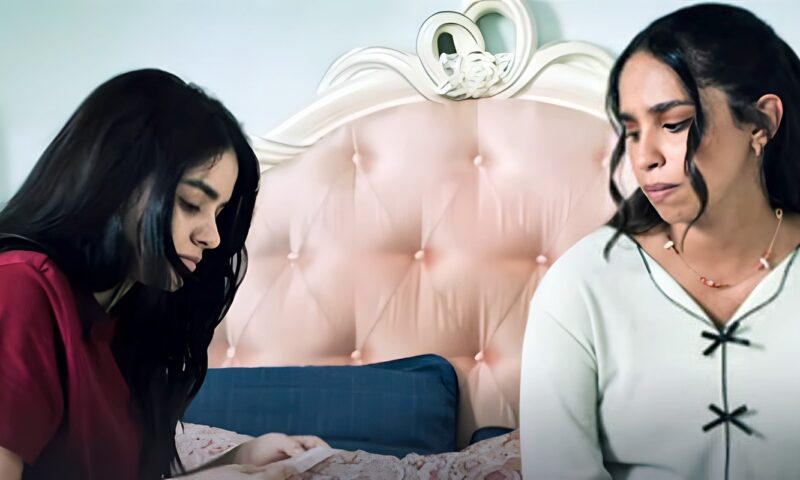 8 حلقات من الكوميديا والدراما العائلية، تفاصيل مسلسل “سيدو وحورية” على شاهد