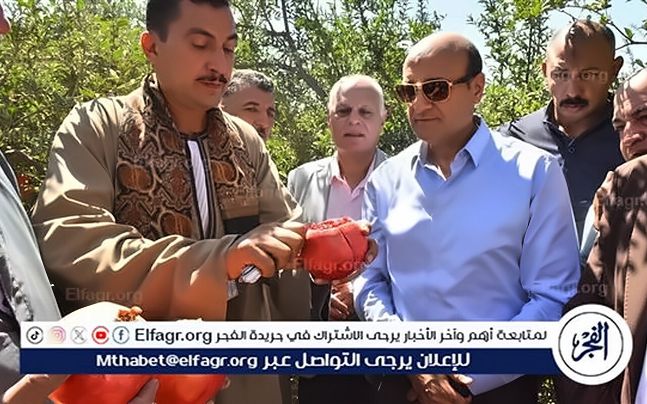 محافظ أسيوط يتفقد حصاد محصول الرمان بقرية بويط بمركز ساحل سليم