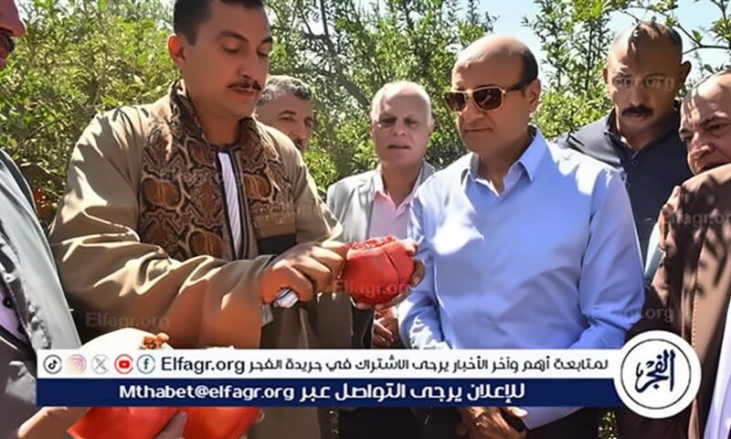 محافظ أسيوط يتفقد حصاد محصول الرمان بقرية بويط بمركز ساحل سليم