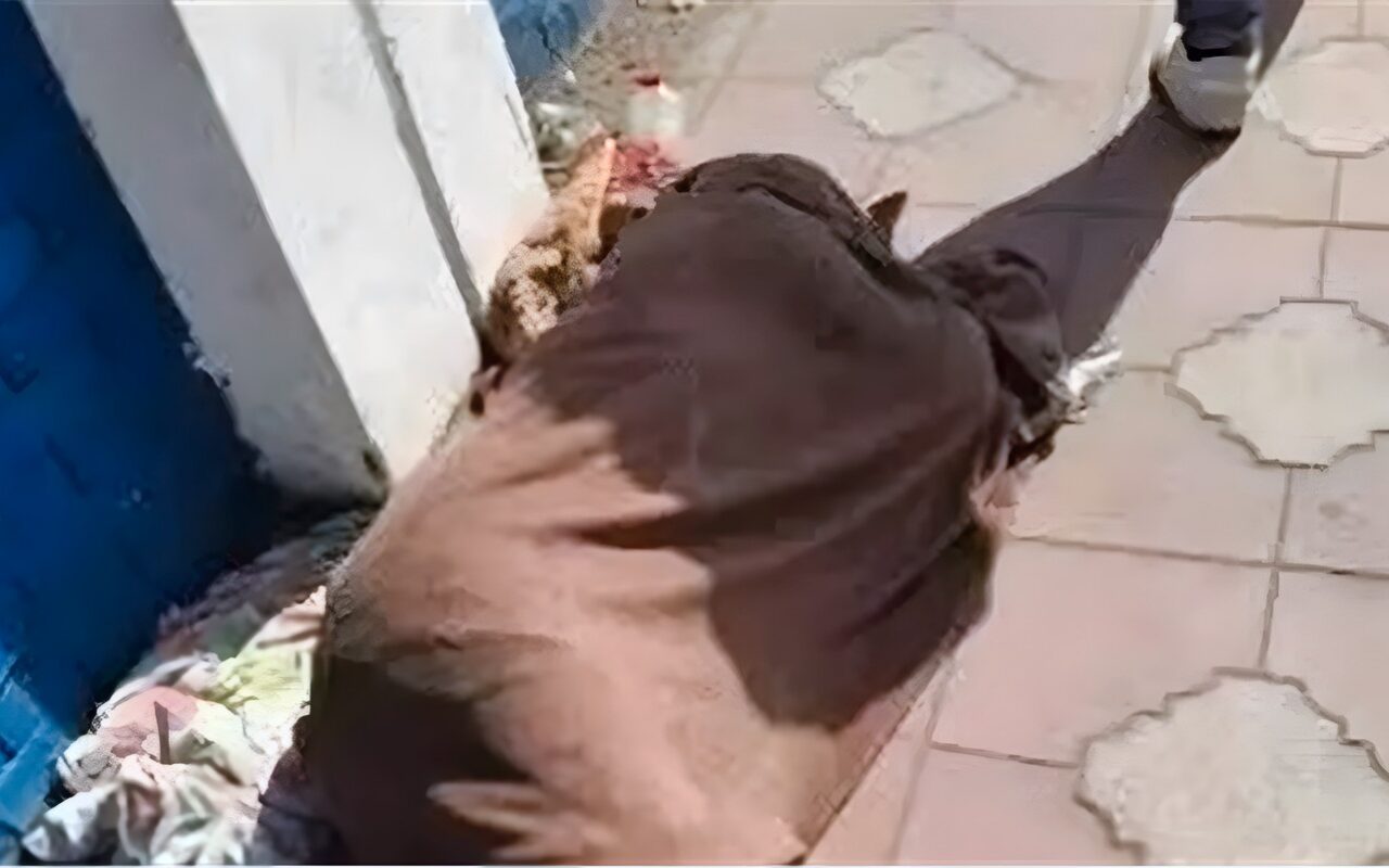 هربت بسبب سوء معاملة والدها، العثور على طفلة متغيبة من الجيزة تتسول بمصر الجديدة