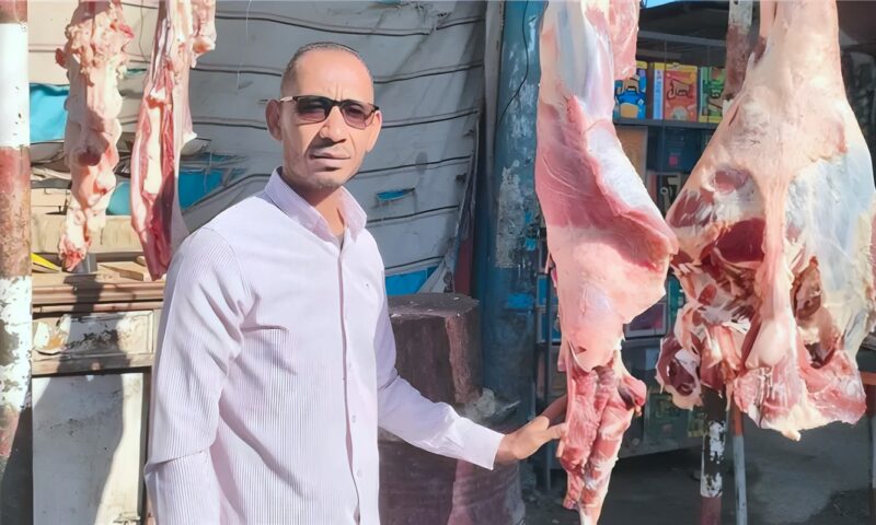 تحرير 8 مخالفات تموينية بقنا بينها 3 محاضر لمحال جزارة للذبح خارج المجازر الحكومية