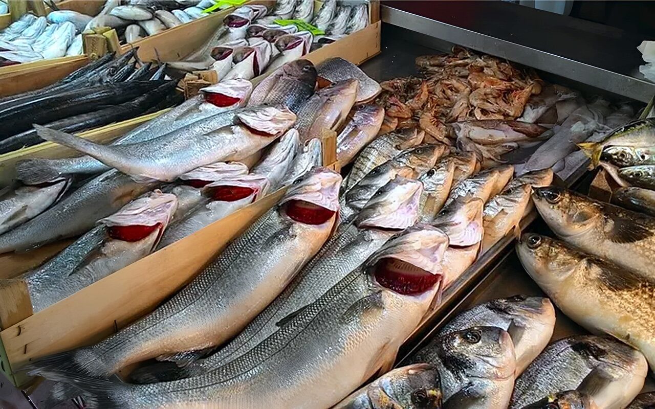 أسعار الأسماك اليوم، انخفاض في البلطي والجمبري الجامبو والكابوريا وقفزة بالبوري