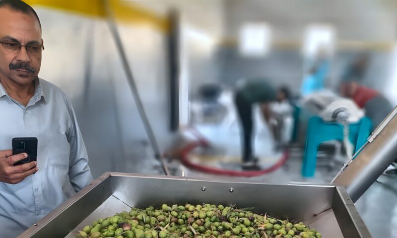وزير الزراعة يطلق تشغيل معصرة النثيلة بسيناء لتعظيم القيمة المضافة لمحصول الزيتون