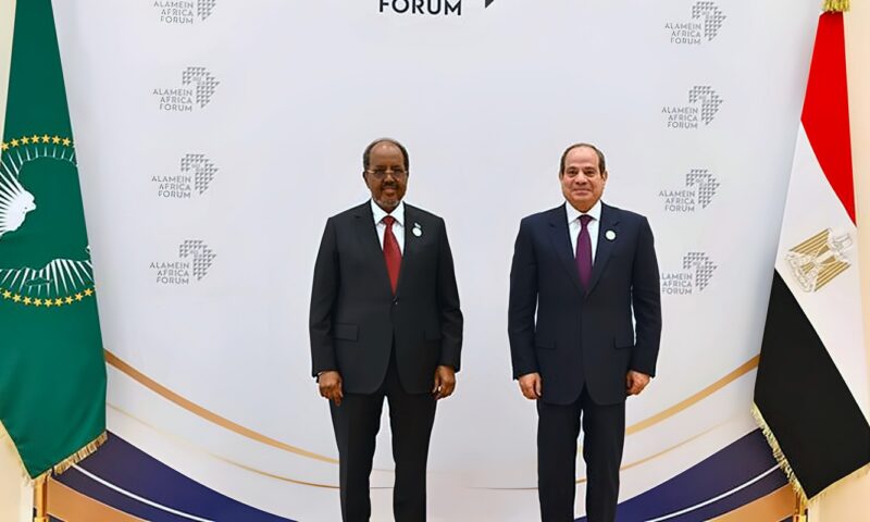 السيسي: القطاع الخاص قاطرة التنمية وخلق فرص عمل