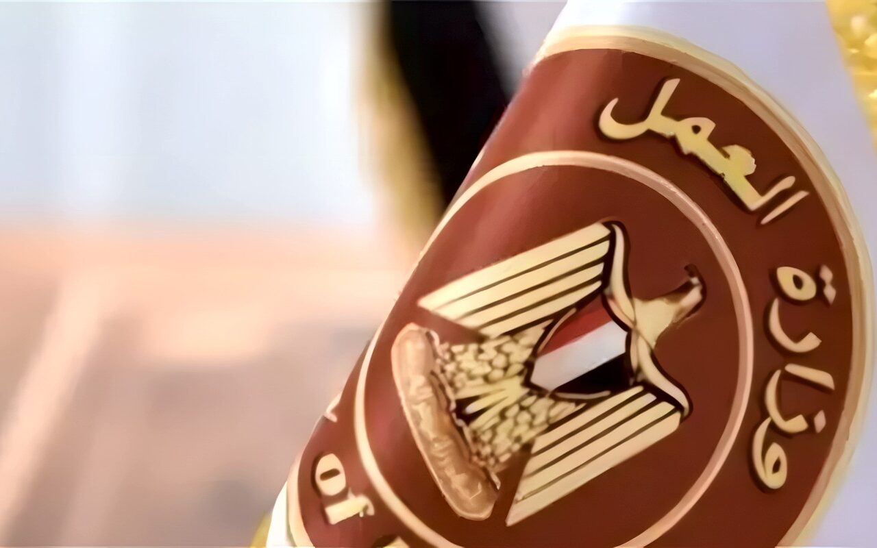 وزير العمل يعلن: 6349 فرصة عمل في 46 شركة قطاع خاص بـ11 محافظة