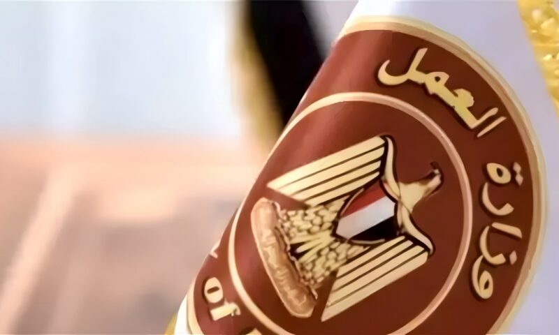 وزير العمل يعلن: 6349 فرصة عمل في 46 شركة قطاع خاص بـ11 محافظة
