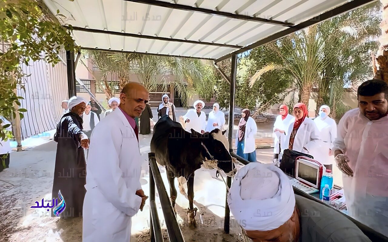 قافلة بيطرية بالغربية تستهدف تقديم الخدمات البيطرية لـ 1614  طائرا وماشية