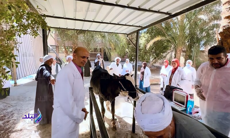 قافلة بيطرية بالغربية تستهدف تقديم الخدمات البيطرية لـ 1614 طائرا وماشية
