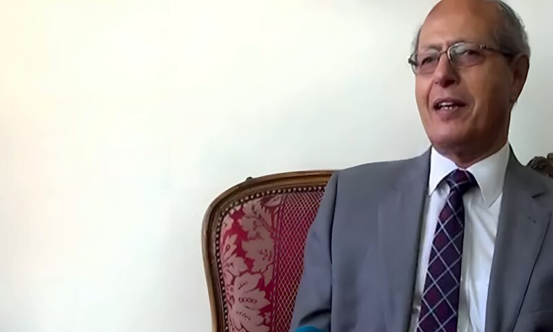مساعد وزير الخارجية الأسبق: الشراكة الاستراتيجية مع كوريا الجنوبية تدعم تنويع شركاء مصر الدوليين
