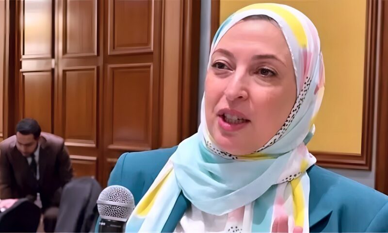 عضو غرفة الصناعات الهندسية تطالب وزارة الاستثمار بتسهيل تحويل الشركات الفردية إلى مساهمة